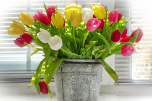 vase, beautiful flowers, flower, bunch of flowers, flower background, pot, ornament, nature, flower wallpaper, tulips, bucket